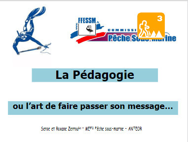 Péda générale PSM