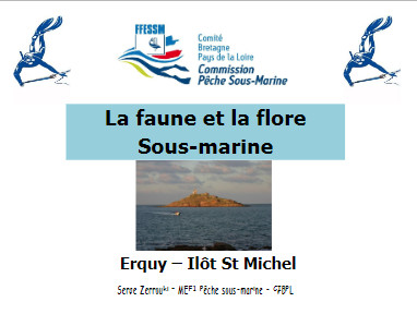 Faune Flore PSM