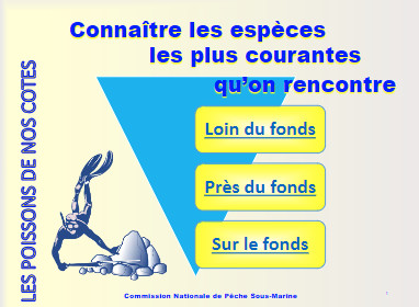 Les poissons de nos cotes